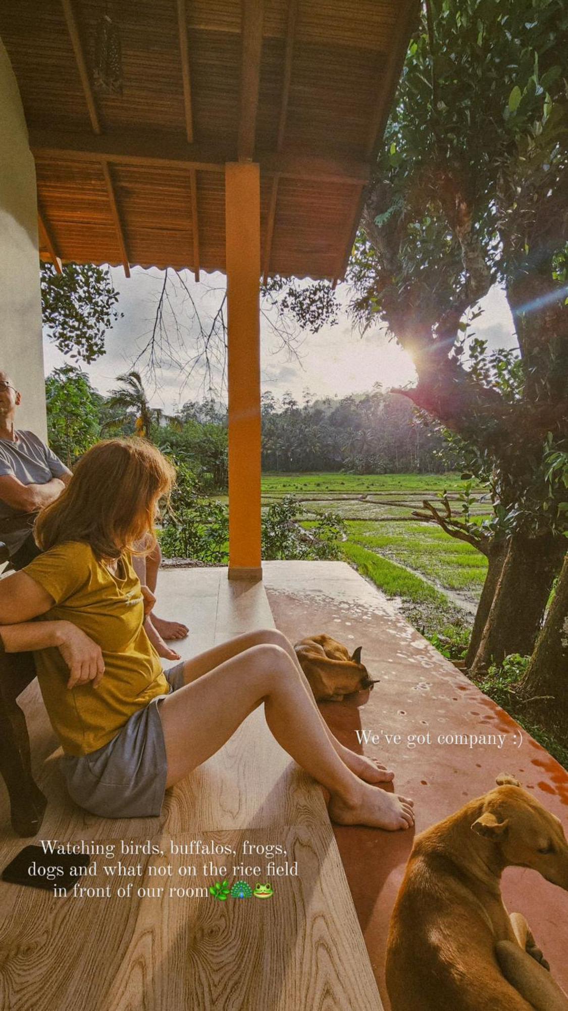 Forest & Fields Sinharaja & Restaurant 데니야야 외부 사진
